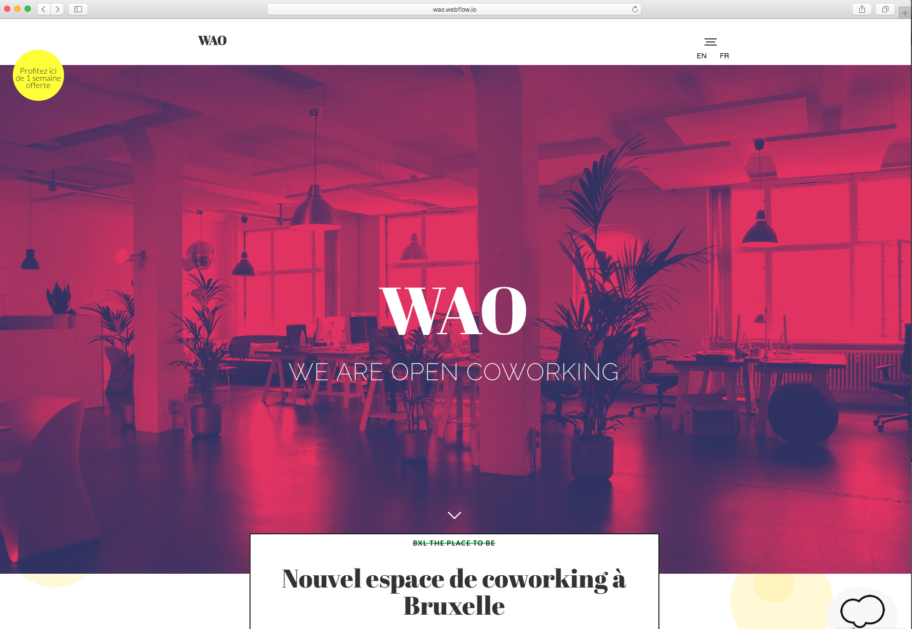 wao website